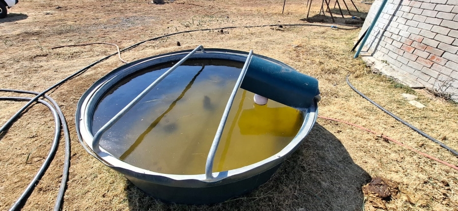 Commercial Property for Sale in Bloemfontein Rural Free State